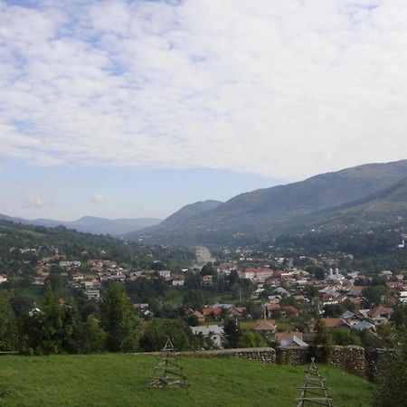 Pensiunea Valea Negrasului Trăisteni 外观 照片