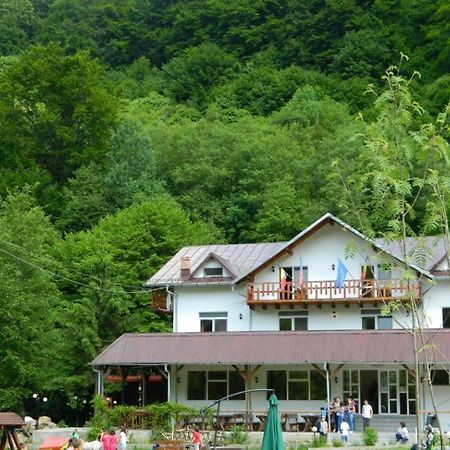 Pensiunea Valea Negrasului Trăisteni 外观 照片