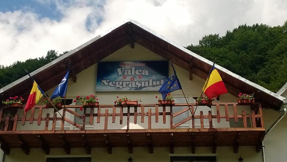 Pensiunea Valea Negrasului Trăisteni 外观 照片