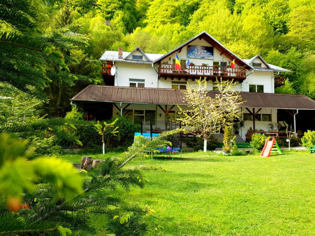 Pensiunea Valea Negrasului Trăisteni 外观 照片