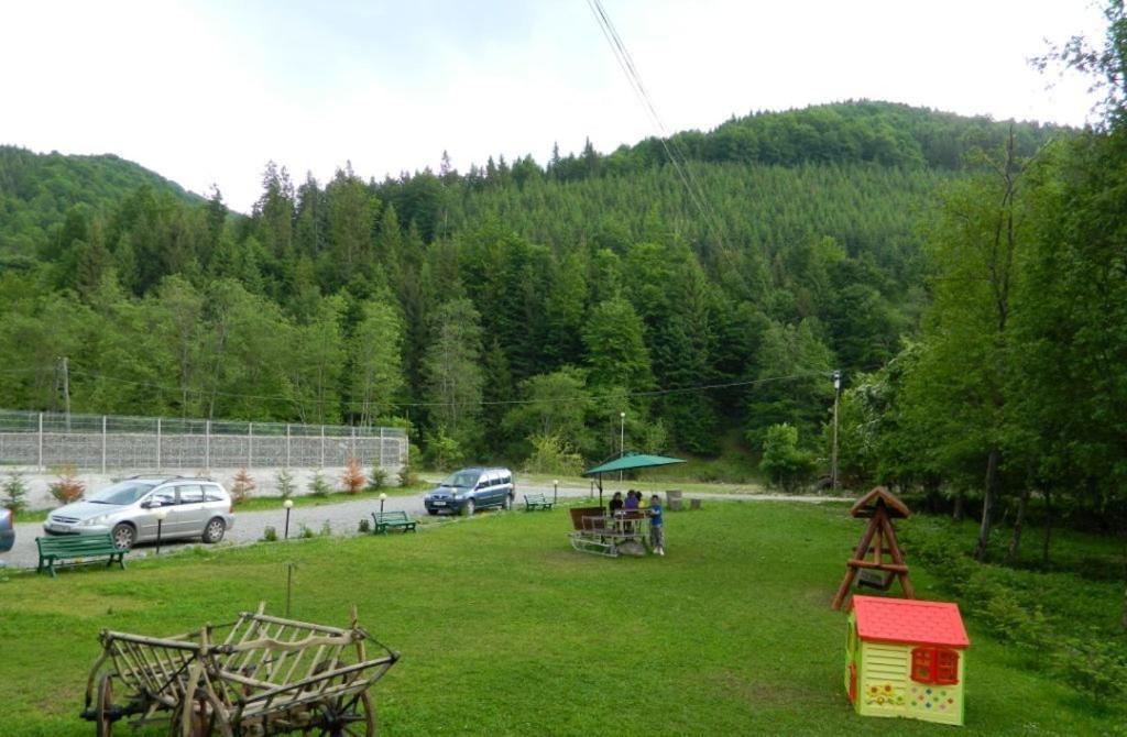 Pensiunea Valea Negrasului Trăisteni 外观 照片