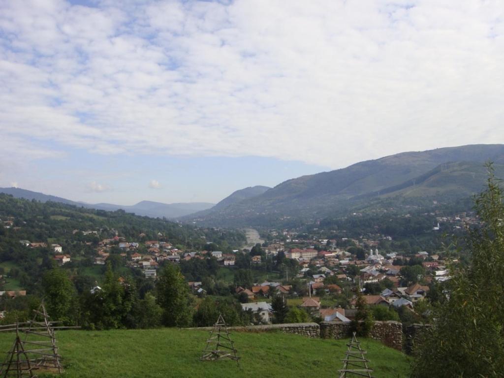 Pensiunea Valea Negrasului Trăisteni 外观 照片