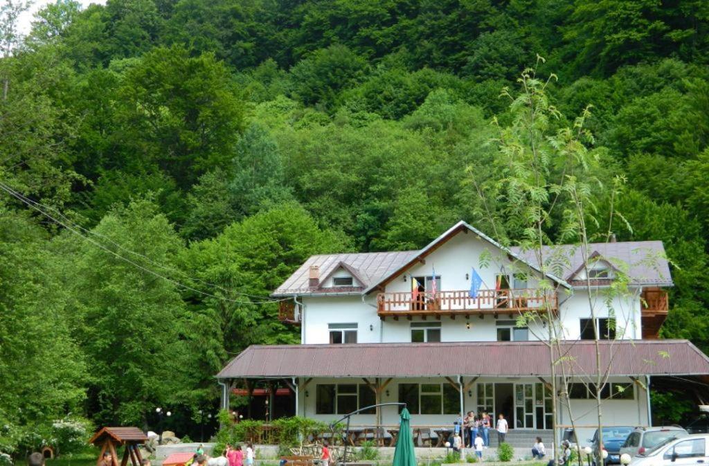 Pensiunea Valea Negrasului Trăisteni 外观 照片